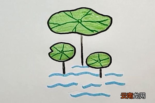 荷叶怎么画漂亮又简单 画荷叶最简单的画法