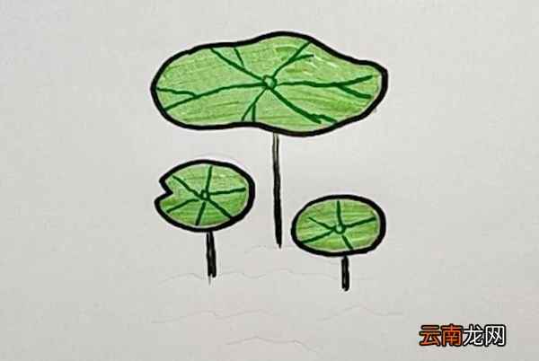 荷叶怎么画漂亮又简单 画荷叶最简单的画法