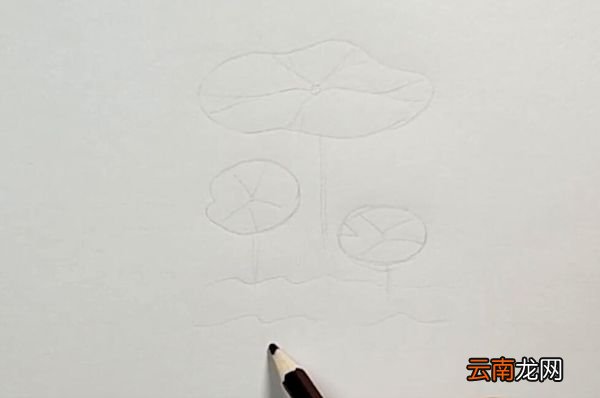 荷叶怎么画漂亮又简单 画荷叶最简单的画法