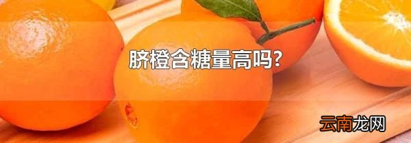 脐橙含糖量高吗?