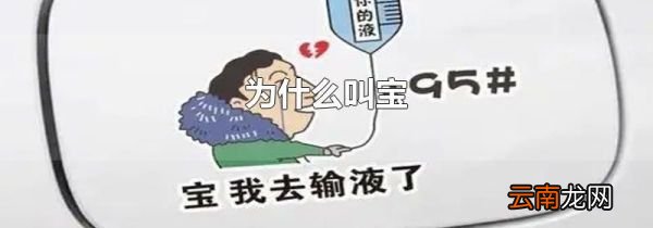 为什么叫宝
