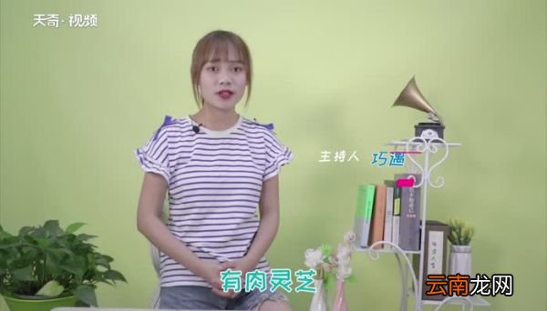 太岁是什么东西 太岁有什么功效