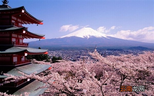 支付宝在日本可以用吗？支付宝日本使用攻略