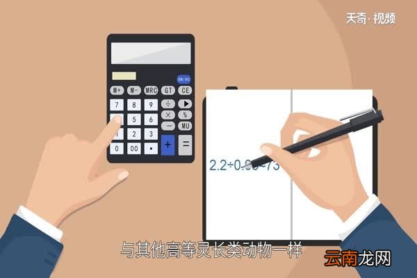 人是什么 人是什么动物