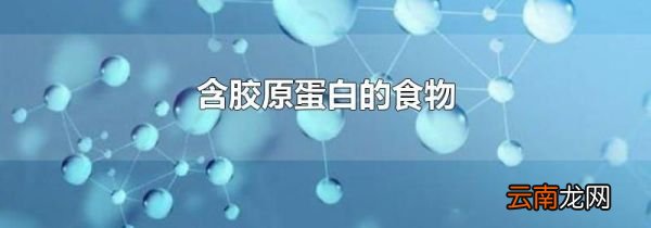 含胶原蛋白的食物