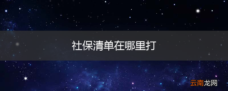 社保清单在哪里打