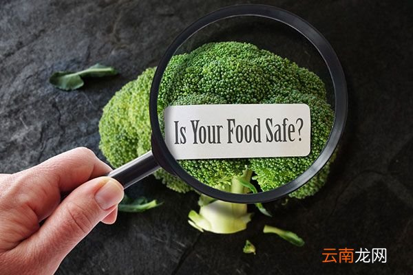 食品安全五大要点 食品安全有哪几点