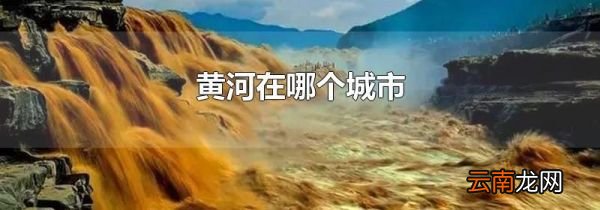 黄河在哪个城市