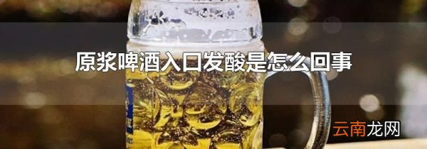 原浆啤酒入口发酸是怎么回事