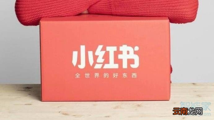 苹果11如何下载小红书