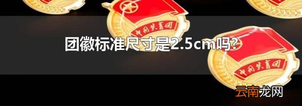 团徽标准尺寸是2.5cm吗?