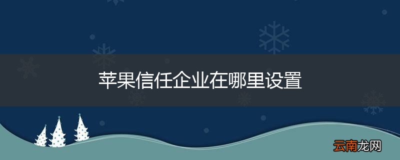 苹果信任企业在哪里设置