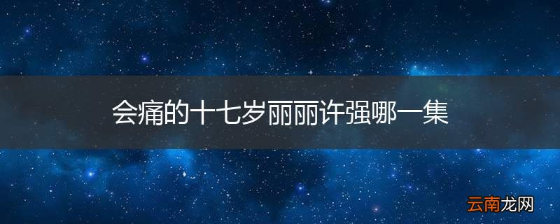 会痛的十七岁丽丽许强哪一集