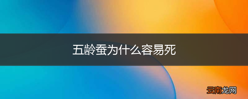 五龄蚕为什么容易死