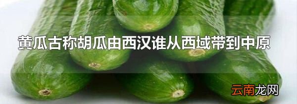 黄瓜古称胡瓜由西汉谁从西域带到中原