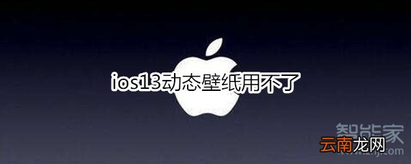 ios13动态壁纸用不了