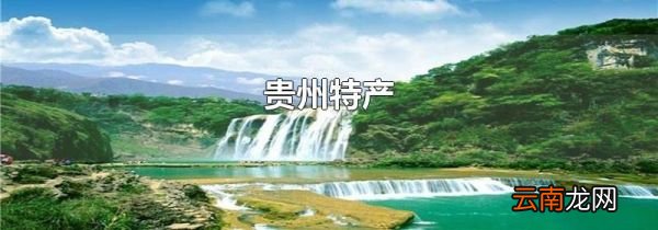 贵州特产