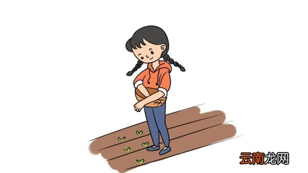 芒种的简笔画画法芒种的简笔画怎么画