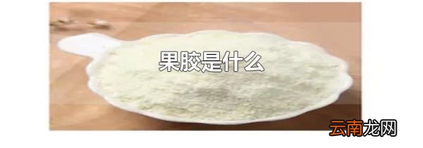 果胶是什么