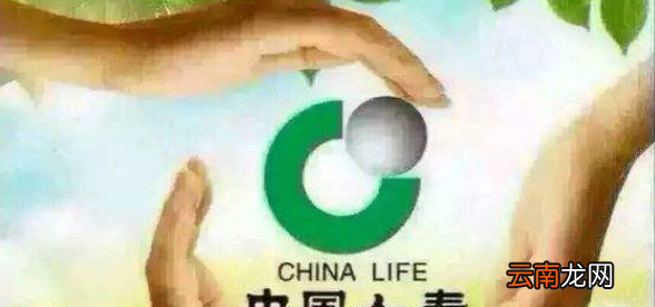 中国十大寿险排行榜