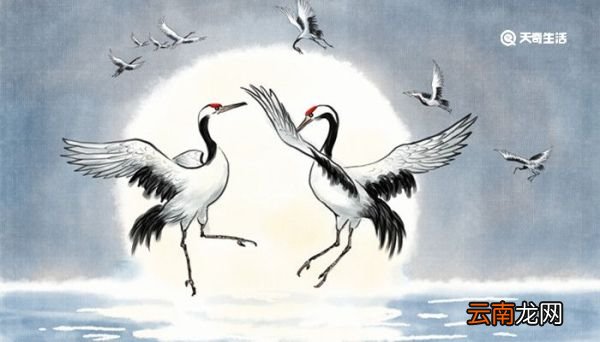 小学课文大禹治水的精神是什么 大禹治水的精神是什么