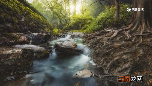 乃石性坚重乃的意思