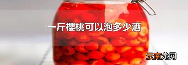 一斤樱桃可以泡多少酒