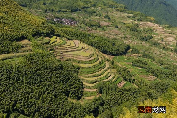 夏天避暑最佳旅游地