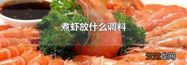 煮虾放什么调料