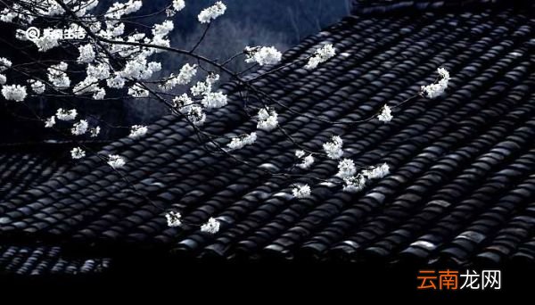 夜雨寄北主旨是什么 夜雨寄北主旨是什么意思