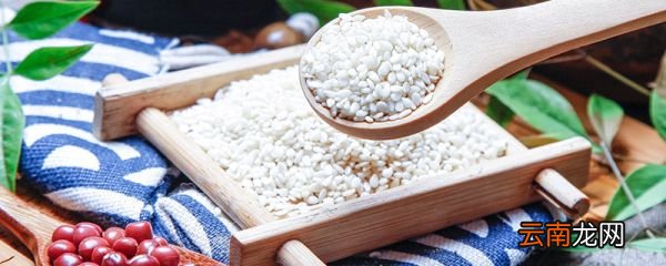 10大雌性激素多的食物10大雌性激素多的食物有哪些