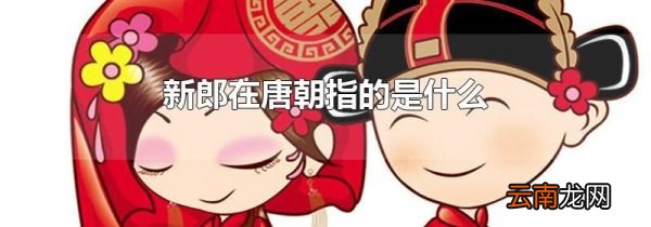 新郎在唐朝指的是什么