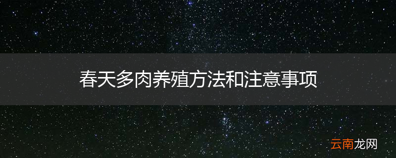 春天多肉养殖方法和注意事项