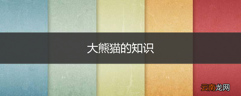 大熊猫的知识
