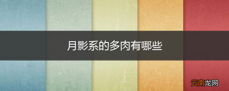 月影系的多肉有哪些