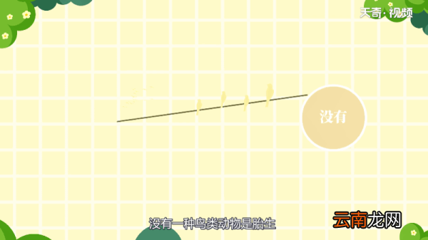 鸟是哺乳动物吗 鸟是不是哺乳动物