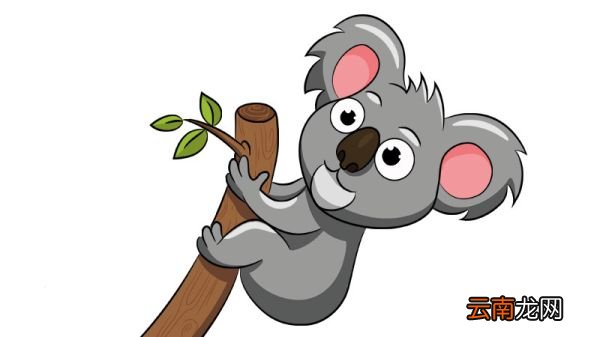 考拉简笔画 考拉简笔画怎么画