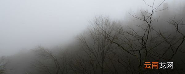 《山居秋暝》前两句描绘的地点是 山居秋暝此诗描绘了什么