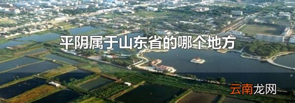 平阴属于山东省的哪个地方