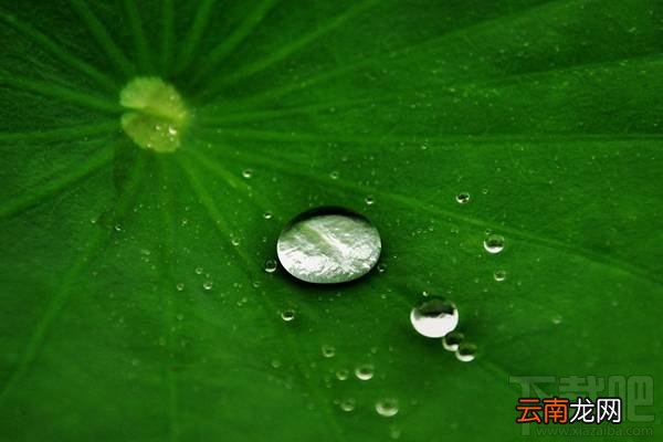 华为P10屏幕疏油层是什么鬼?
