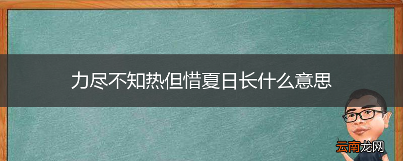 力尽不知热但惜夏日长什么意思