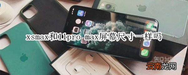 xsmax和11pro max屏幕尺寸一样吗