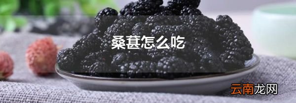 桑葚怎么吃