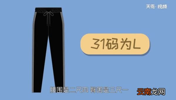裤子31码是l还是xl 31码裤子是什么型号