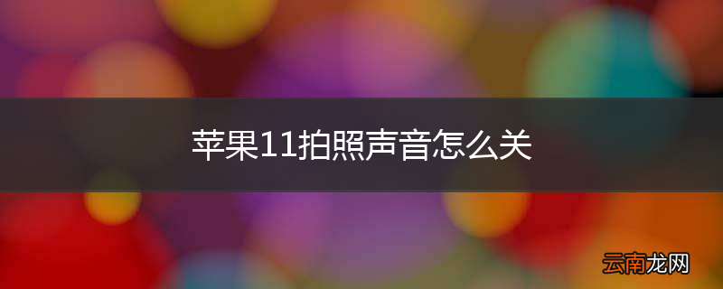 苹果11拍照声音怎么关