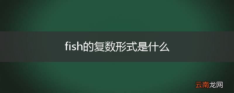 fish的复数形式是什么