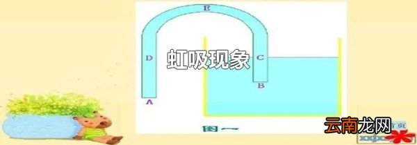 虹吸现象