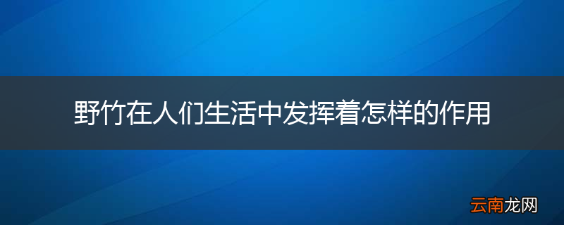 野竹在人们生活中发挥着怎样的作用
