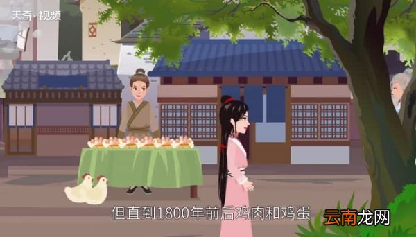 鸡忘记是哪个部位 鸡忘记是鸡的哪个部位