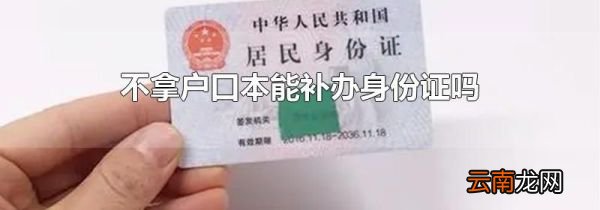 不拿户口本能补办身份证吗